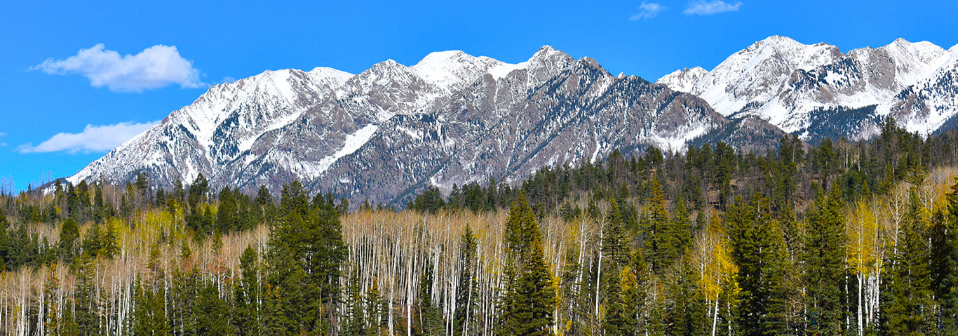 Jackson Hole 